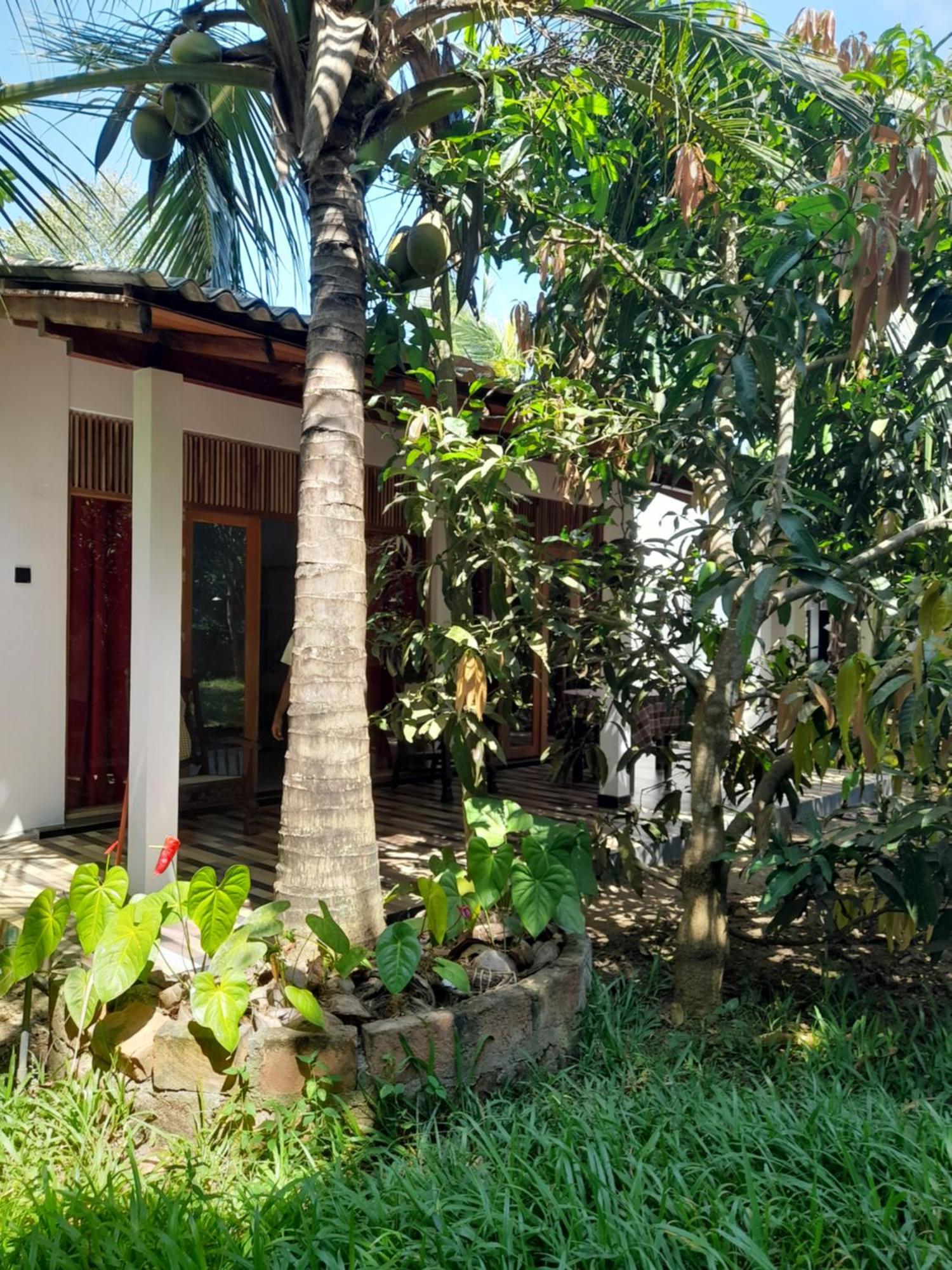Dinuri Villa Tangalle Ngoại thất bức ảnh